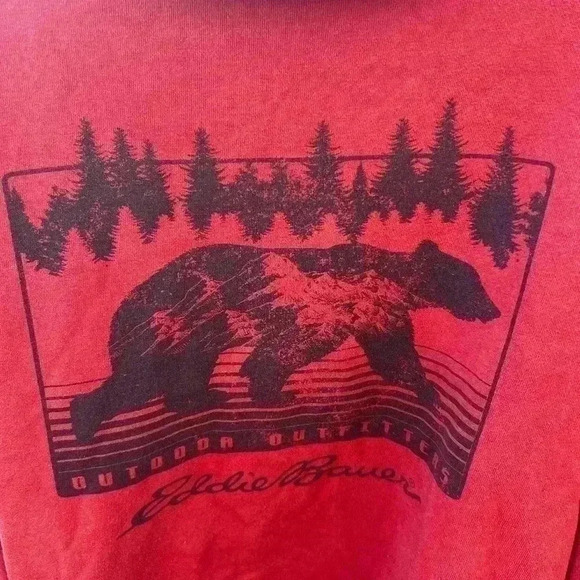 Eddie Bauer Men's Large Pullover Burnt Rust Hoodie - Picture 6 of 7